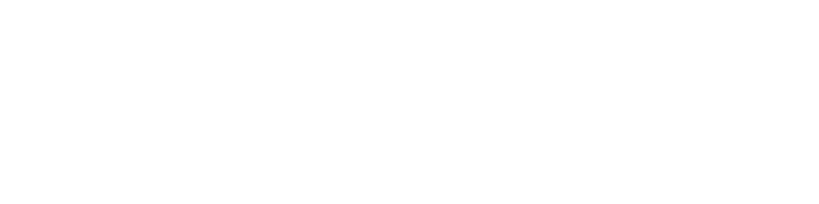 Poke Boss